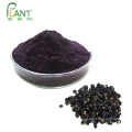 Organic Black goji berry extract powder